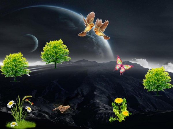 Дерево живое и Мертвое