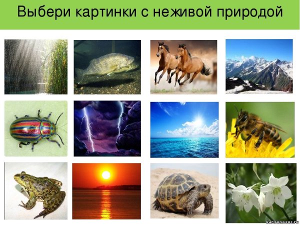 Нарисовать озеро