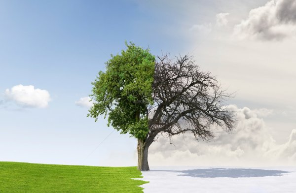 Живая и мертвая вода