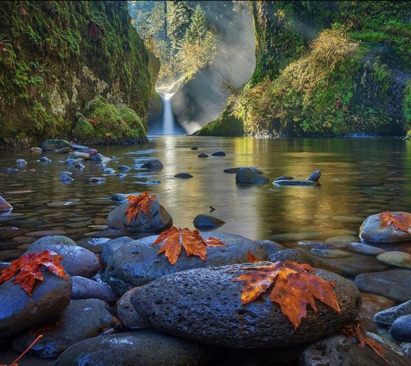 Красивая природа