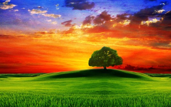 Горный Алтай Телецкое озеро