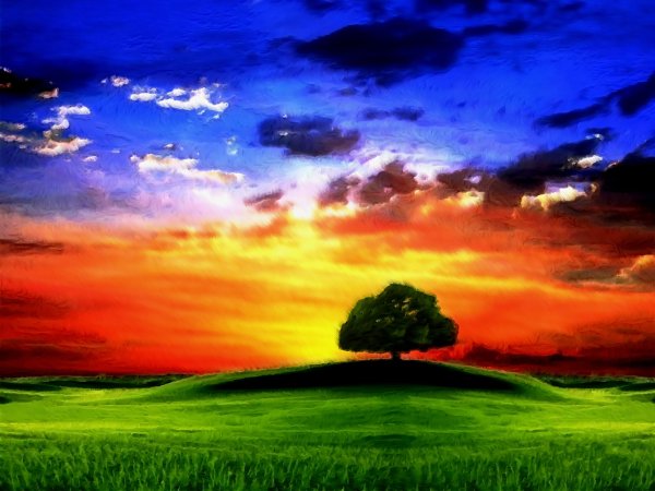 Природа зелень