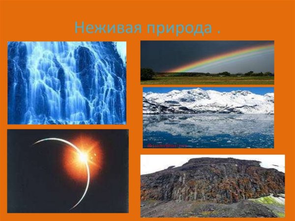 Неживая природа