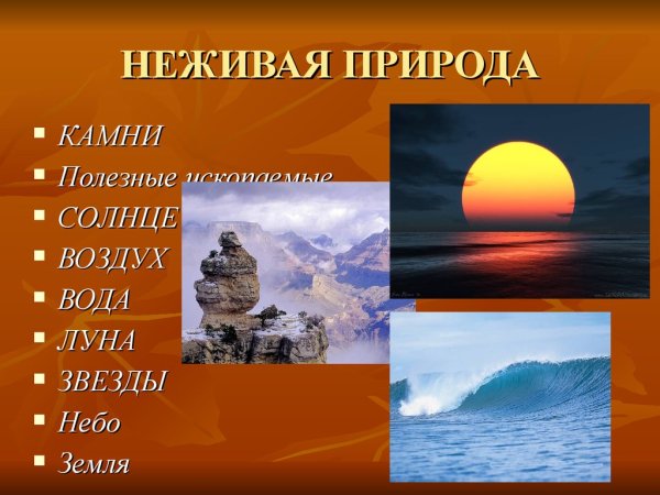 Окружающий мир: неживая природа
