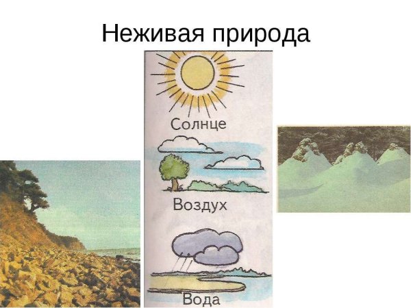 Неживая природа солнце тема в детском саду