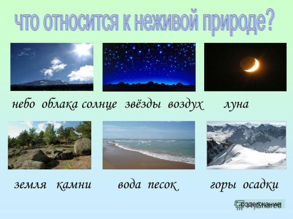 Чио относится к не живой природе