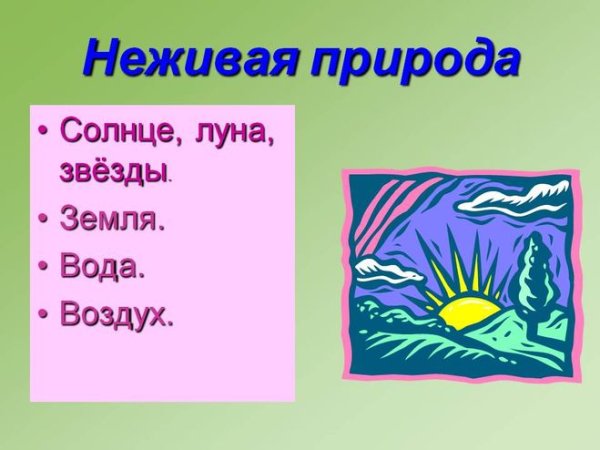 Предметы неживой природы