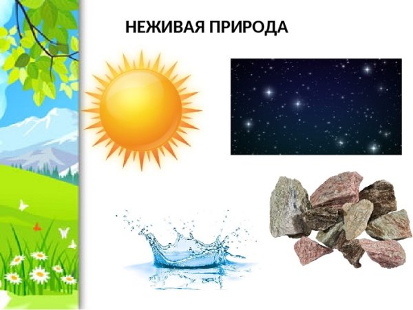 Объекты неживой природы для дошкольников