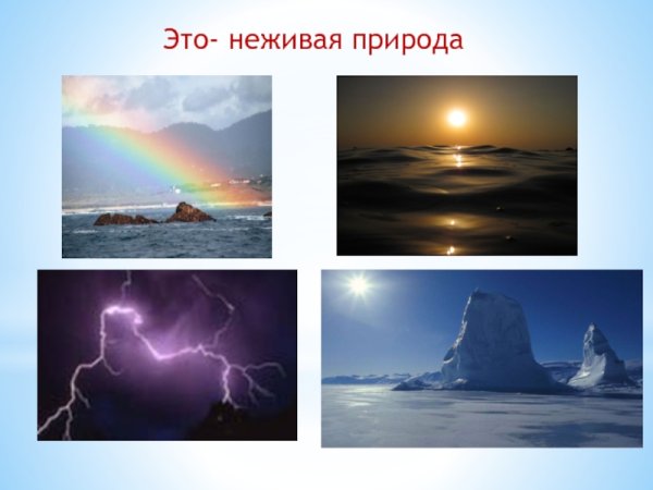 Неживая природа