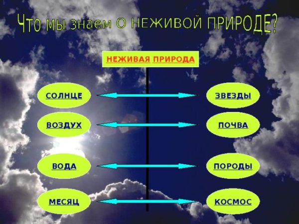 Звезды Живая или неживая природа