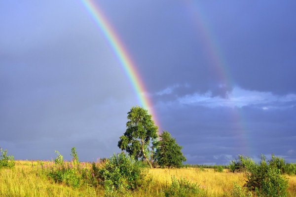 Природа лето Радуга