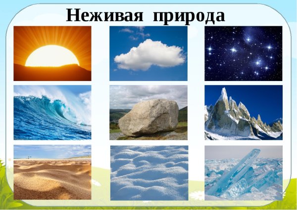 Неживая природа