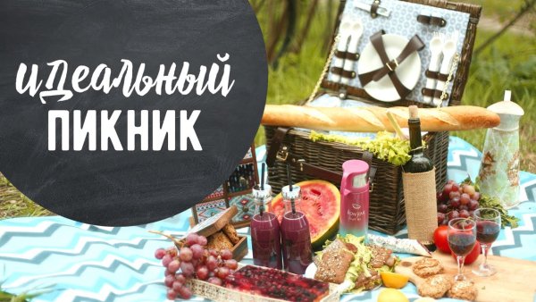 Пикник лес вектор