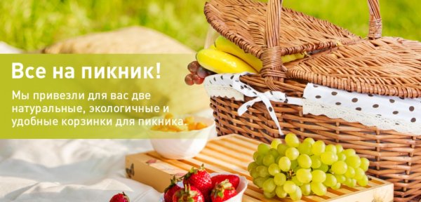 Пикник на природе велосипед