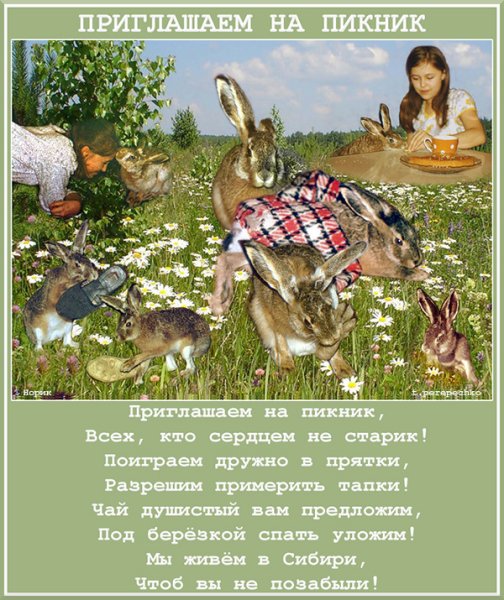 Приглашение на пикник на природе