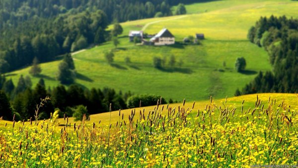 Весна в деревне