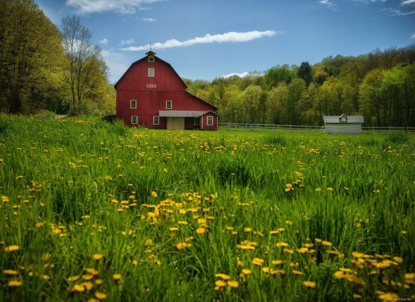 Деревня холм в Белоруссии
