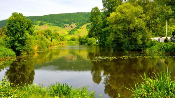 Тульская деревня зимой