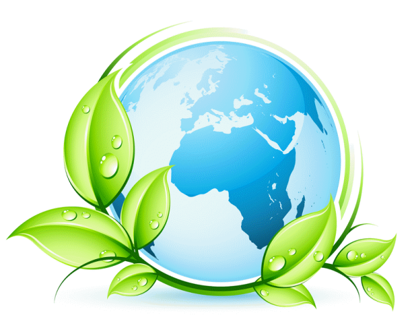 Экология защита животных