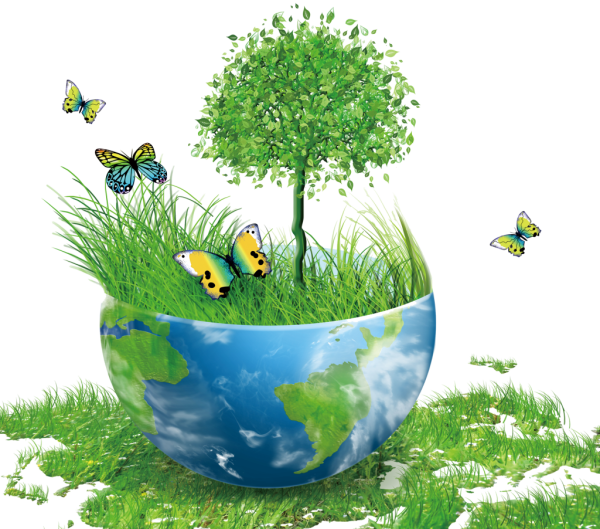 15 Апреля день экологических знаний