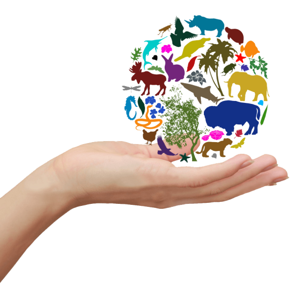 Защита окружающей среды