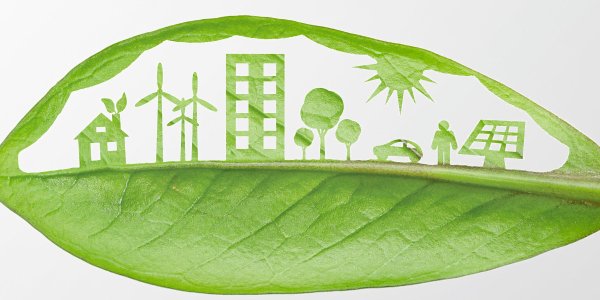 Экологическое право