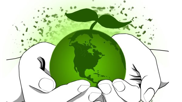 Экология вектор