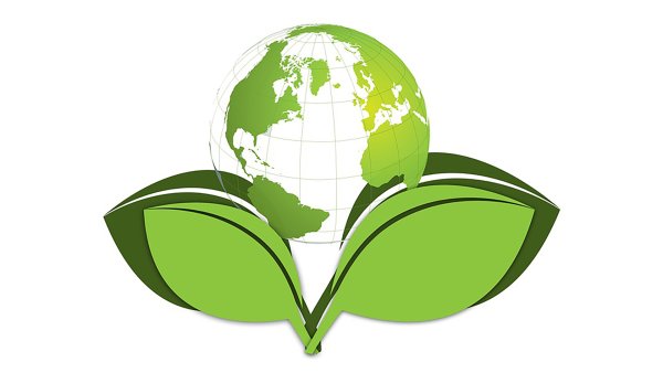 Экологические инициативы