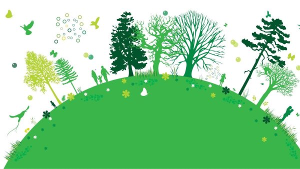 Обращение с отходами