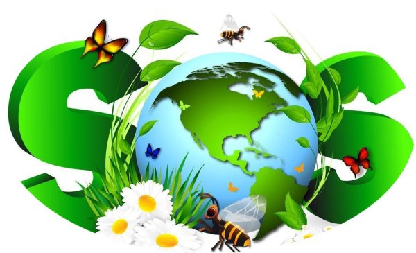 Фон экология деревья