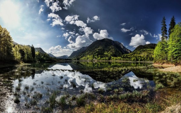 Водопад в лесу
