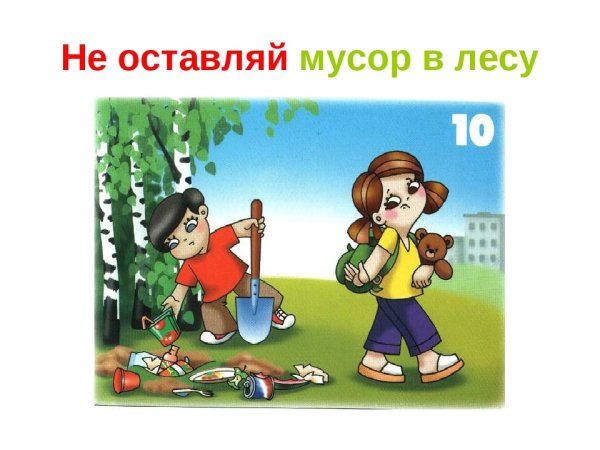 Мусорить в лесу