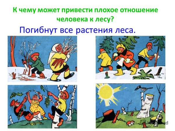 Плохое и хорошее отношение к природе