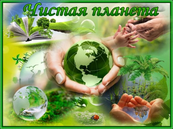 Экология охрана природы
