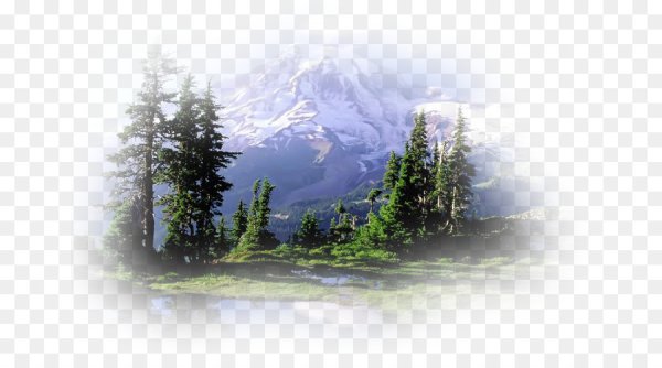 Летние пейзажи на прозрачном фоне