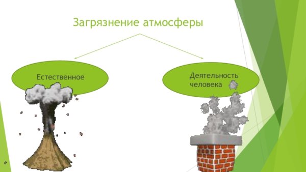 Экологические проблемы