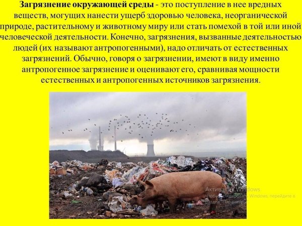 Деятельность человека в природе
