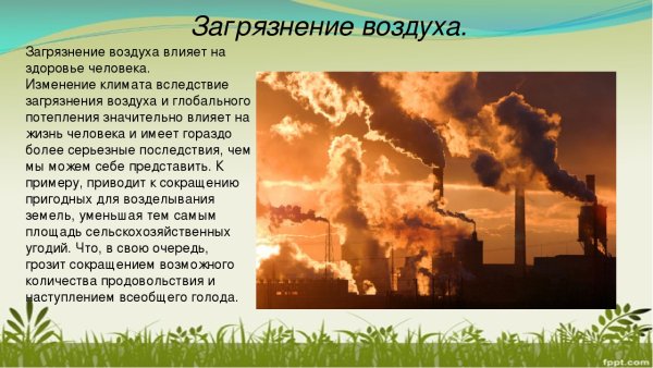 Влияние человека на живую природу