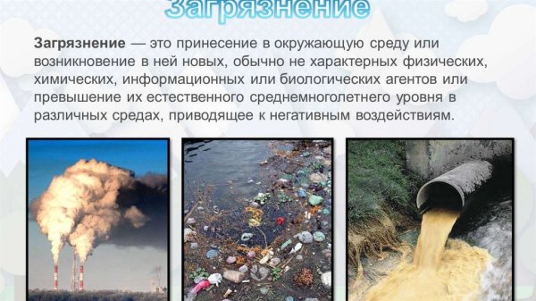 Влияние деятельности на окружающую среду