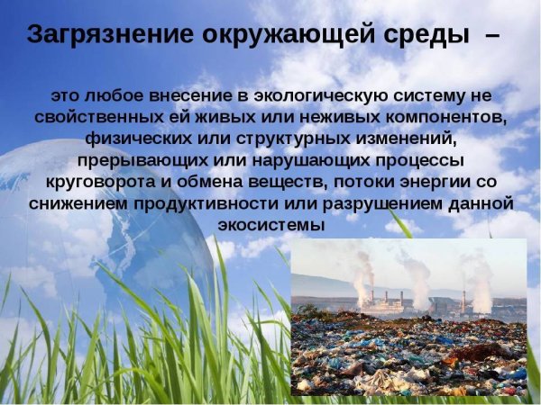 Последствия загрязнения природы