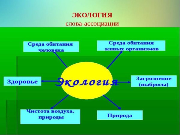 Последствия заргязгнентя прирлд