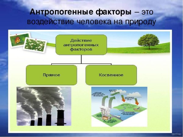 Охрана природы человеком