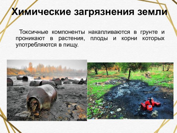 Влияние человека на природу