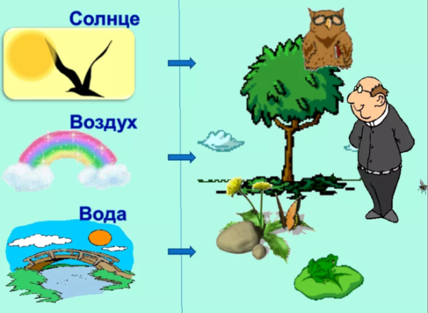 Взаимосвязь объектов живой и неживой природы