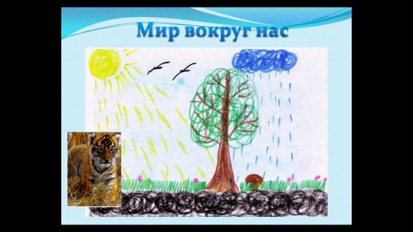 Схема связи живой и неживой природы 2