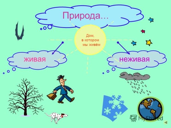Живая и неживая природа