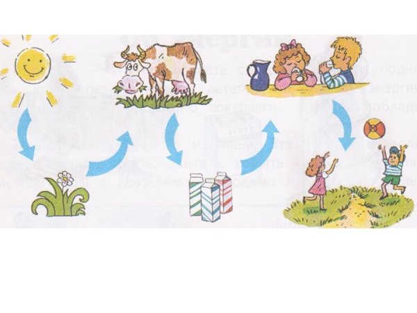 Схема жывой и не живой природы