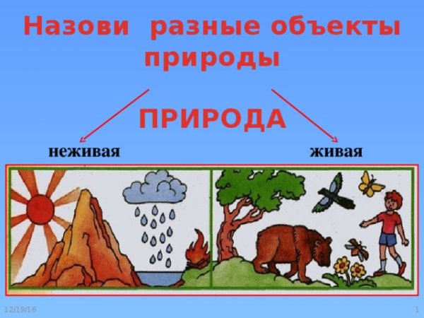 Связь между живой и неживой природой