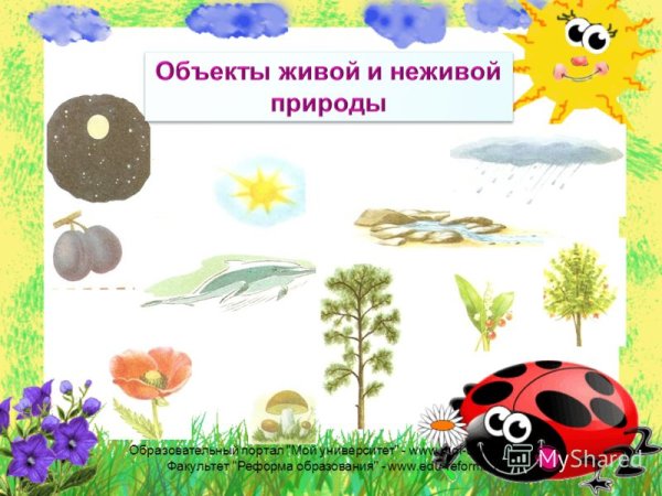 Рисунок связь в природе