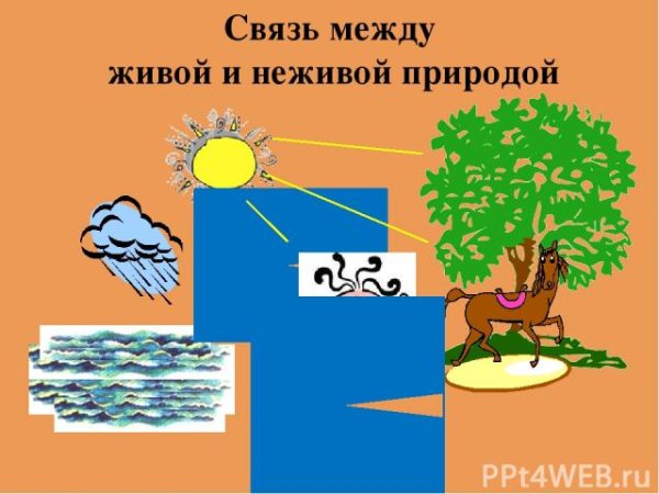 Живая и неживая природа 2 класс